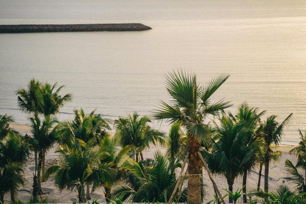 Séjournez au chalet 3 étoiles dans les alpes de haute-provence